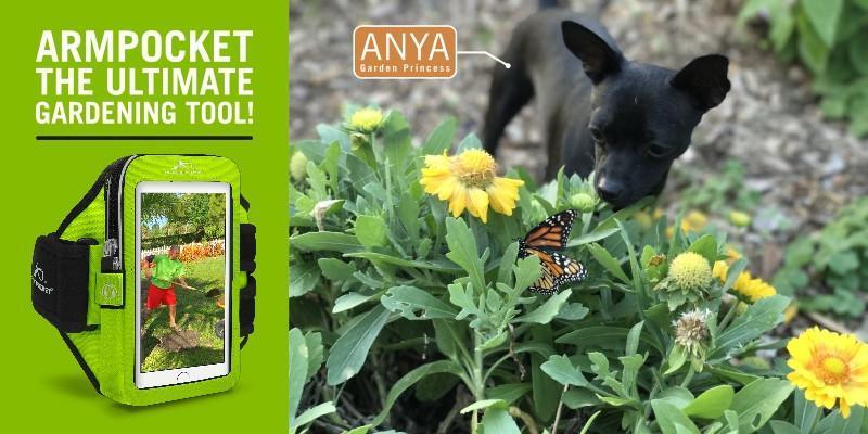 ARMPOCKET, THE ULTIMATE GARDENING TOOL!