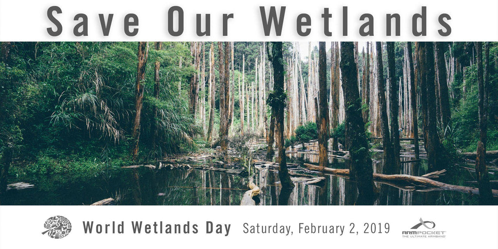 World Wetlands Day 2019